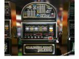 Gambling Bling Online Pokies Australia