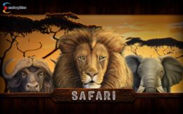 Safari slot
